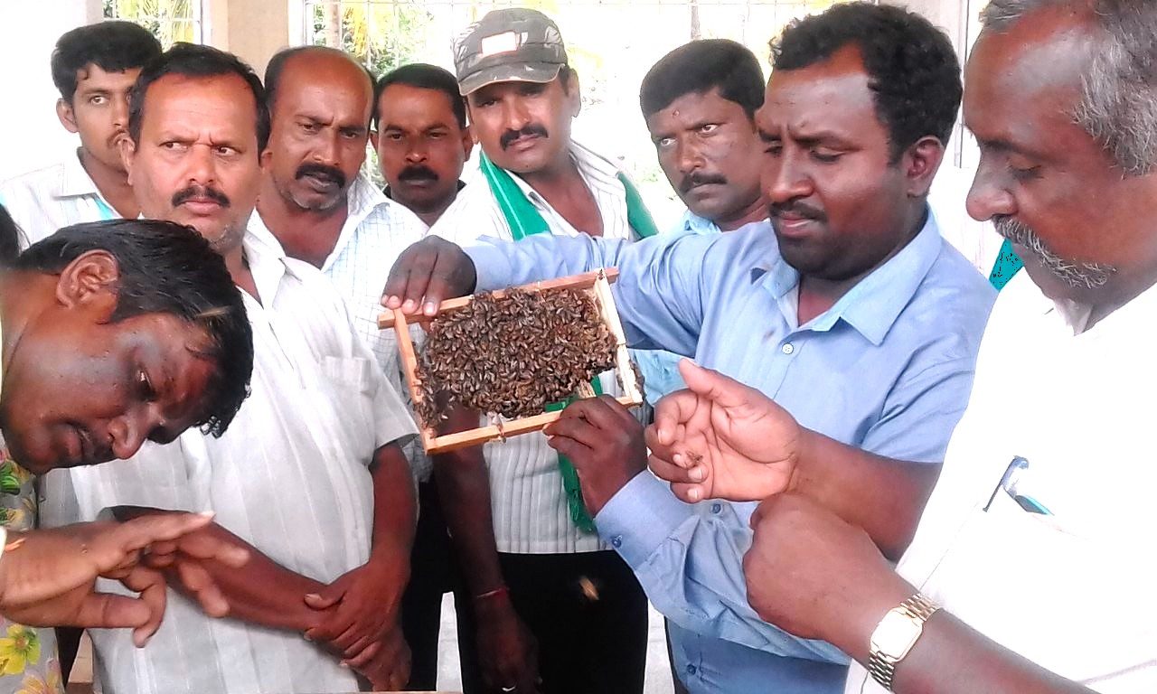 Bee keeping training
