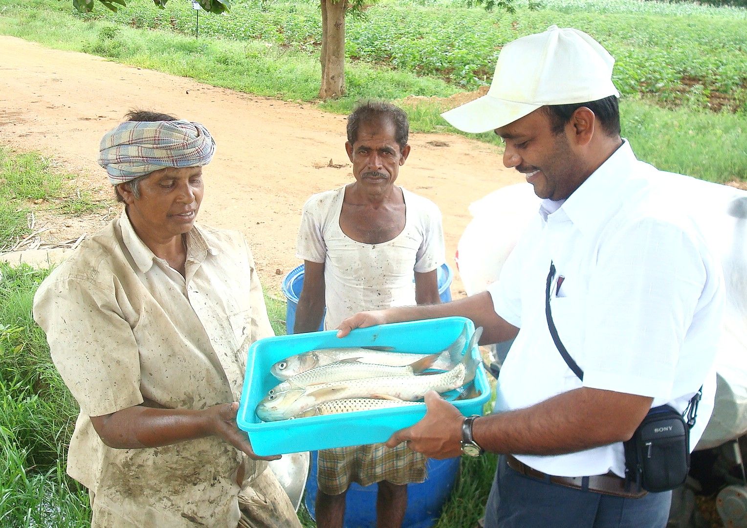 Fishery as an added income source