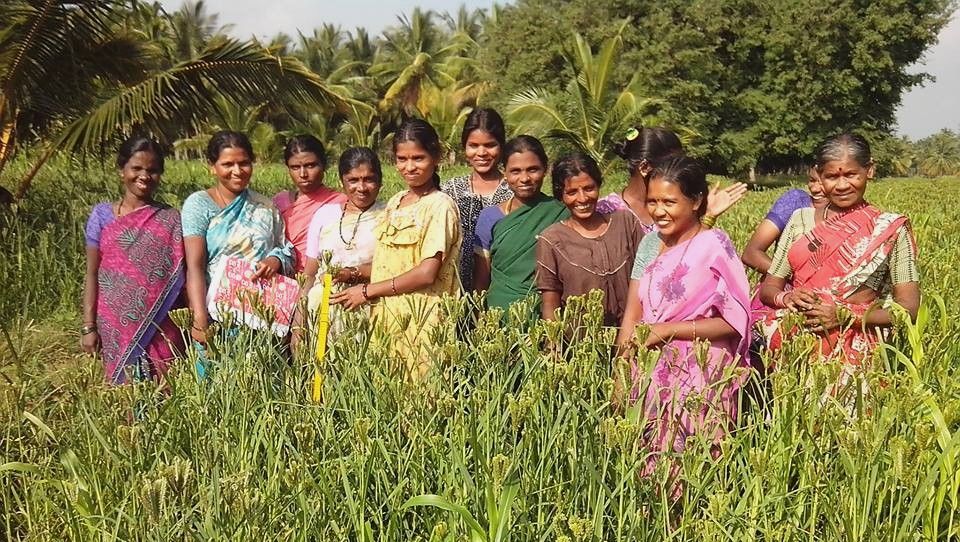 Women farmers standing together in their field