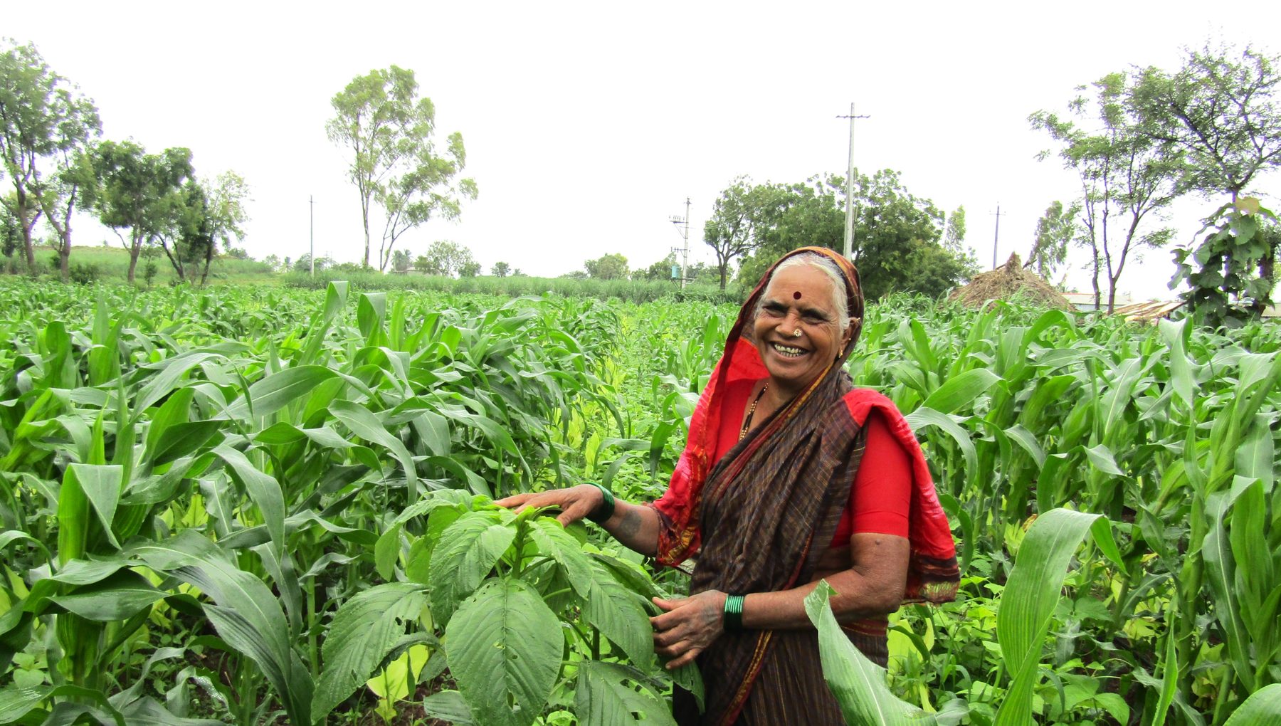 Shivakka Patil, Bastawada, Raybag — mixed cropping