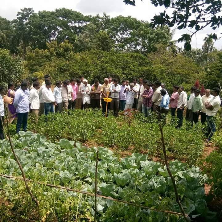 Farmers growing multiple crops