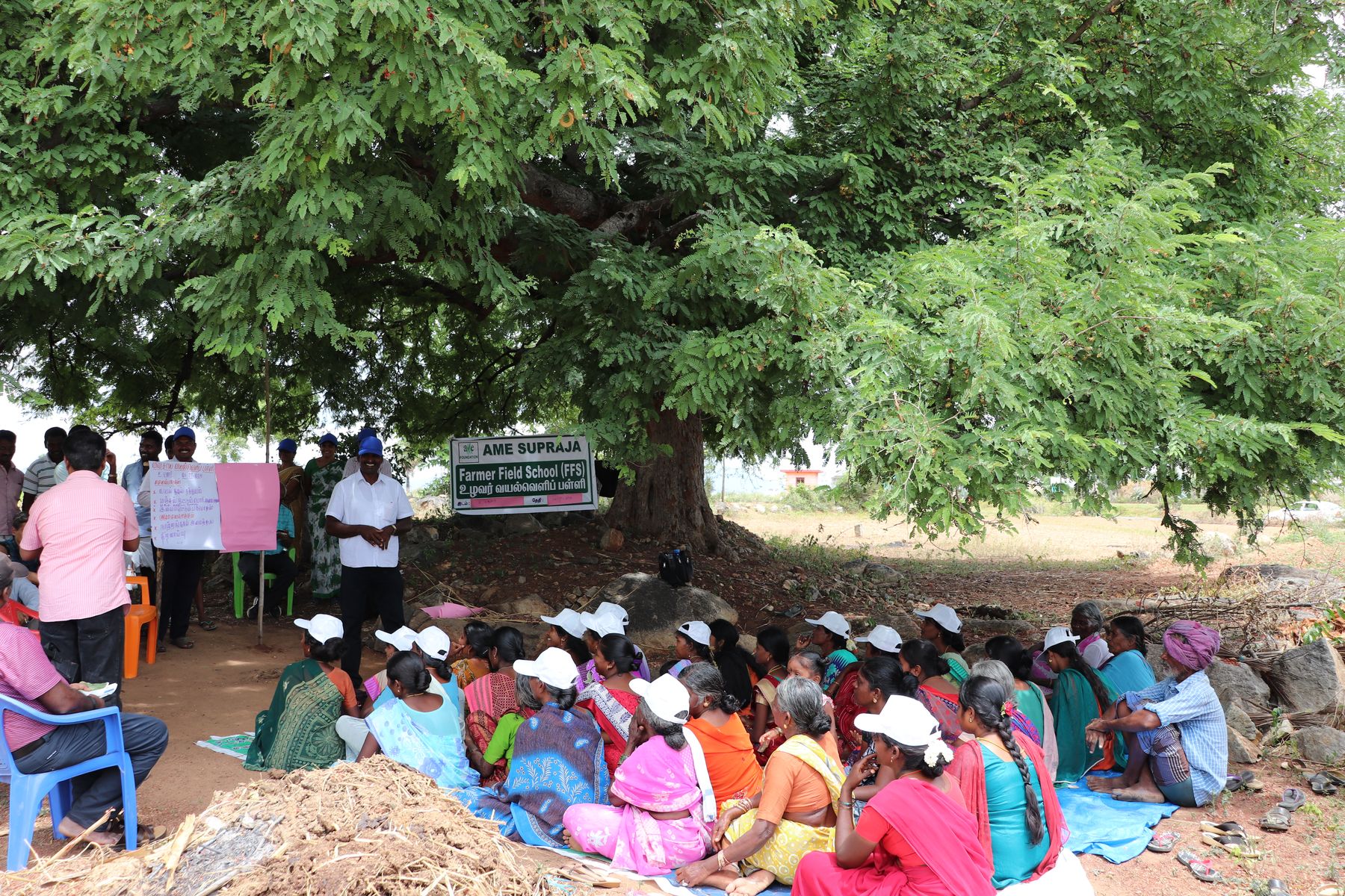 A Farmer Field School session