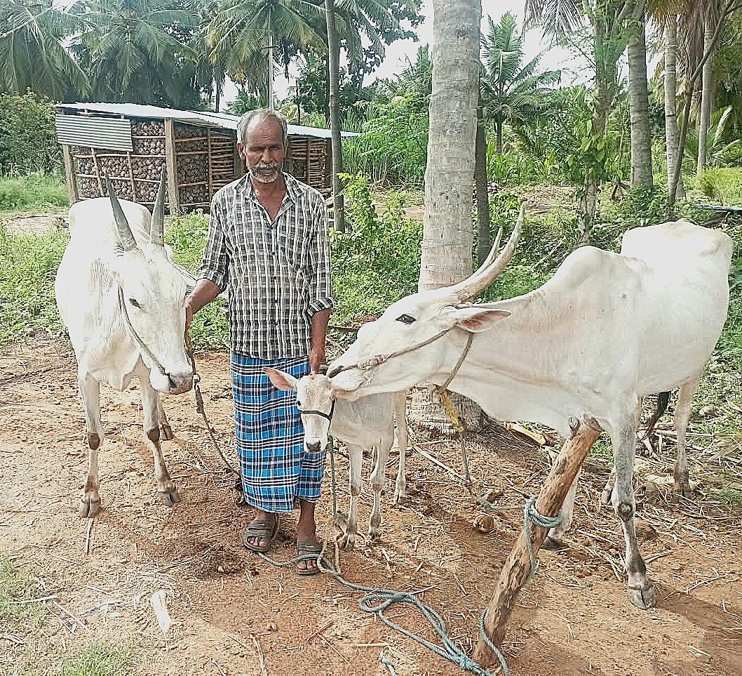 Nandaraju