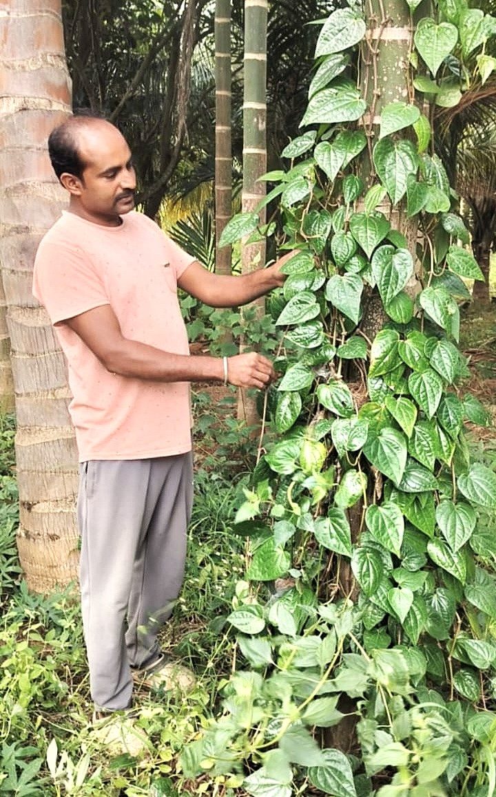 Srinivas